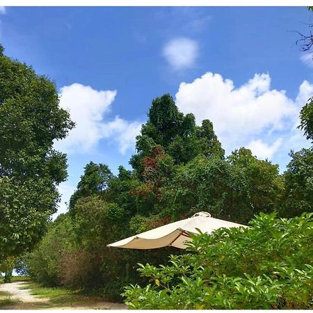 Tropical Resort Langkawi Exteriér fotografie