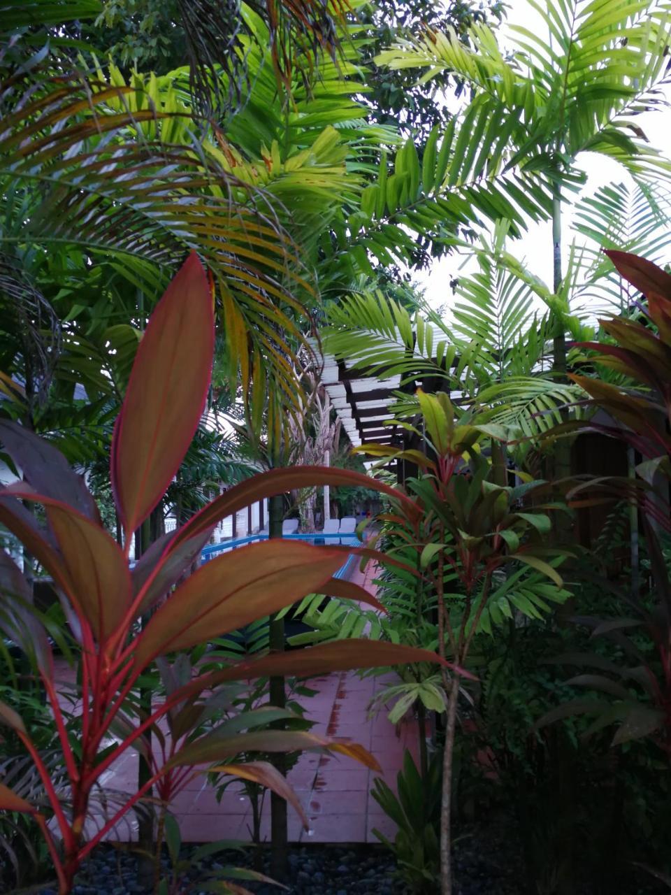 Tropical Resort Langkawi Exteriér fotografie